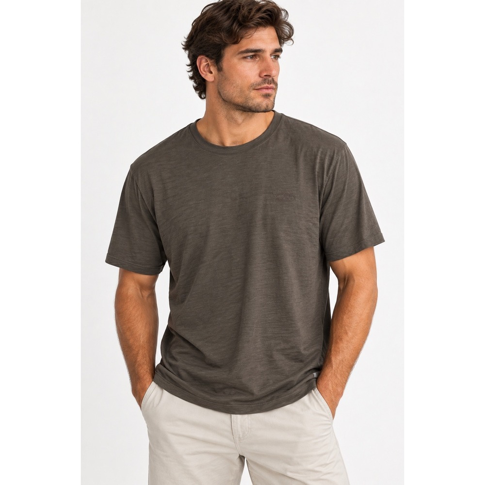 Icebreaker Merino Wool Mens XL Short Sleeve T-Shirt Gray Brown Crewneck Shirt